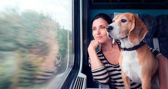 Перевозка животных в поезде - часть 2