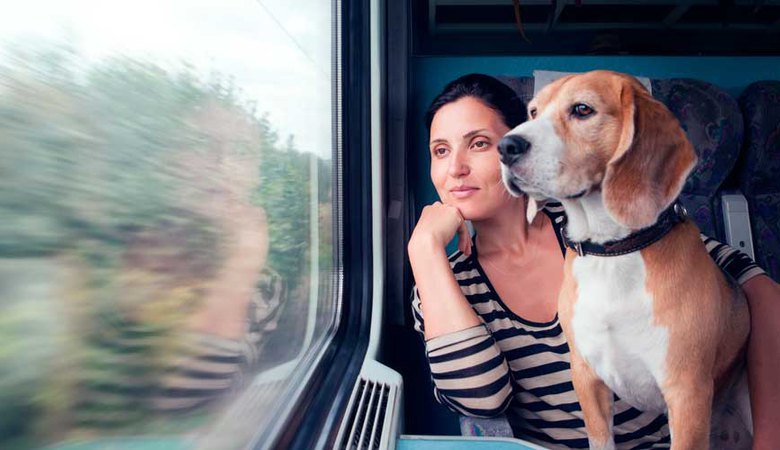 Перевозка животных в поезде - часть 2
