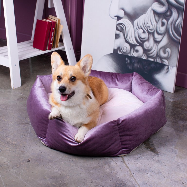 Лежанка Zoe фуксия для средних по размеру собак и кошек