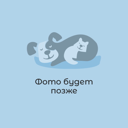тестовый продукт